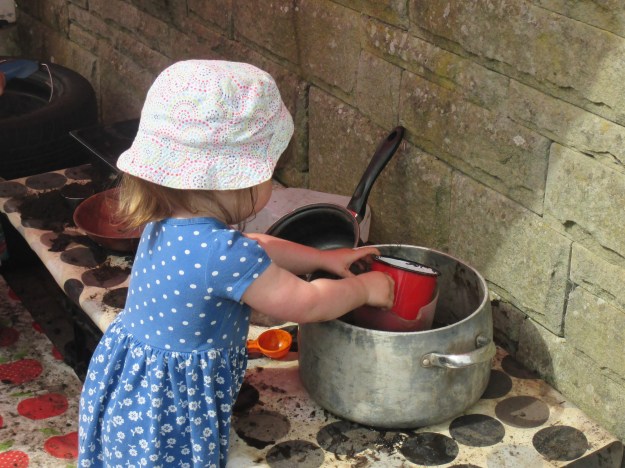 17 July 2015 010 (2)